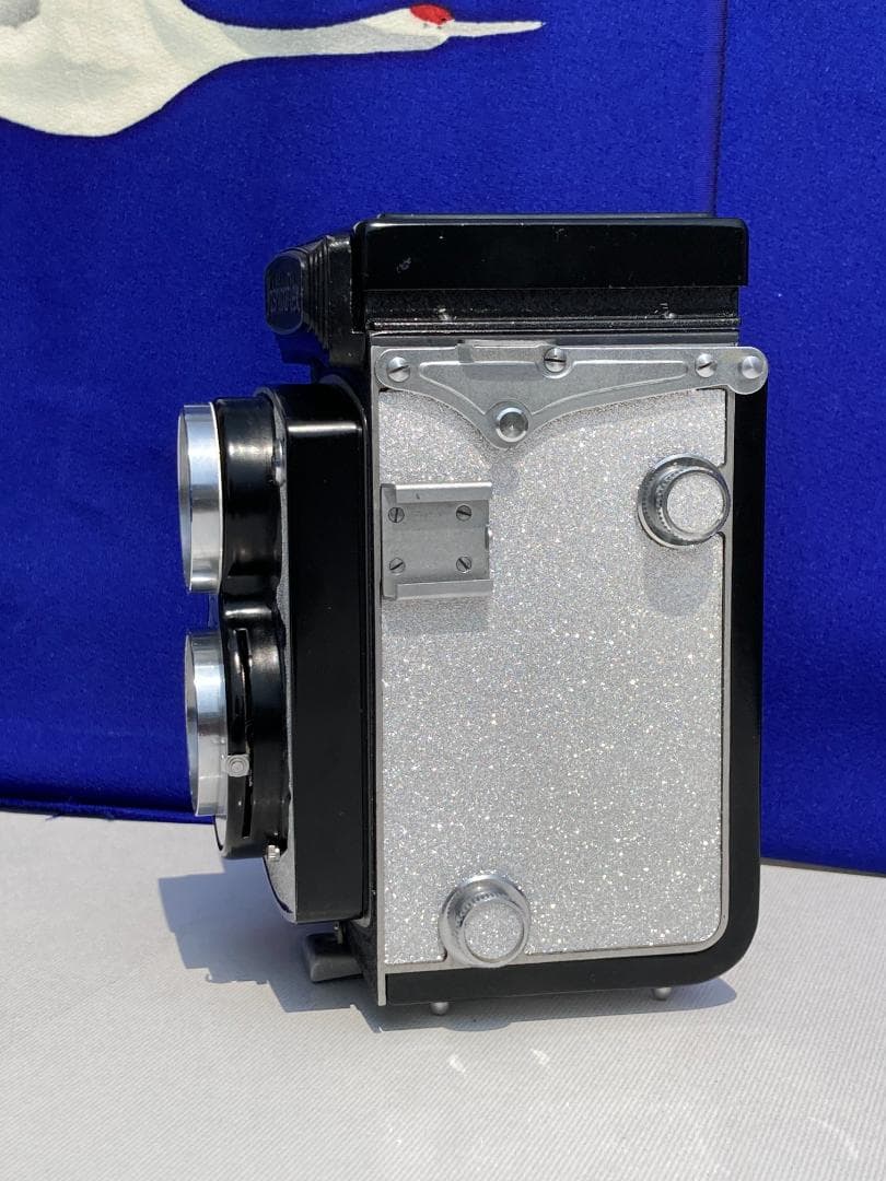 若葉が鮮やか　キラキラ感 YASHICA FLEX インテリアにもどうぞ