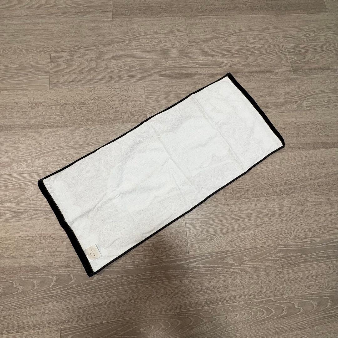 EBICHU GAME SHIRT (通常) えびちゅうのデコタオル（中山莉子）