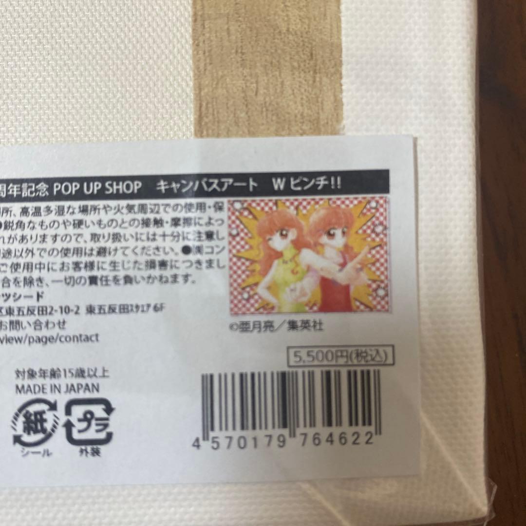 未使用 りぼん70周年 松本夏実 藤田まぐろ 亜月亮 キャンバスアート3点セット