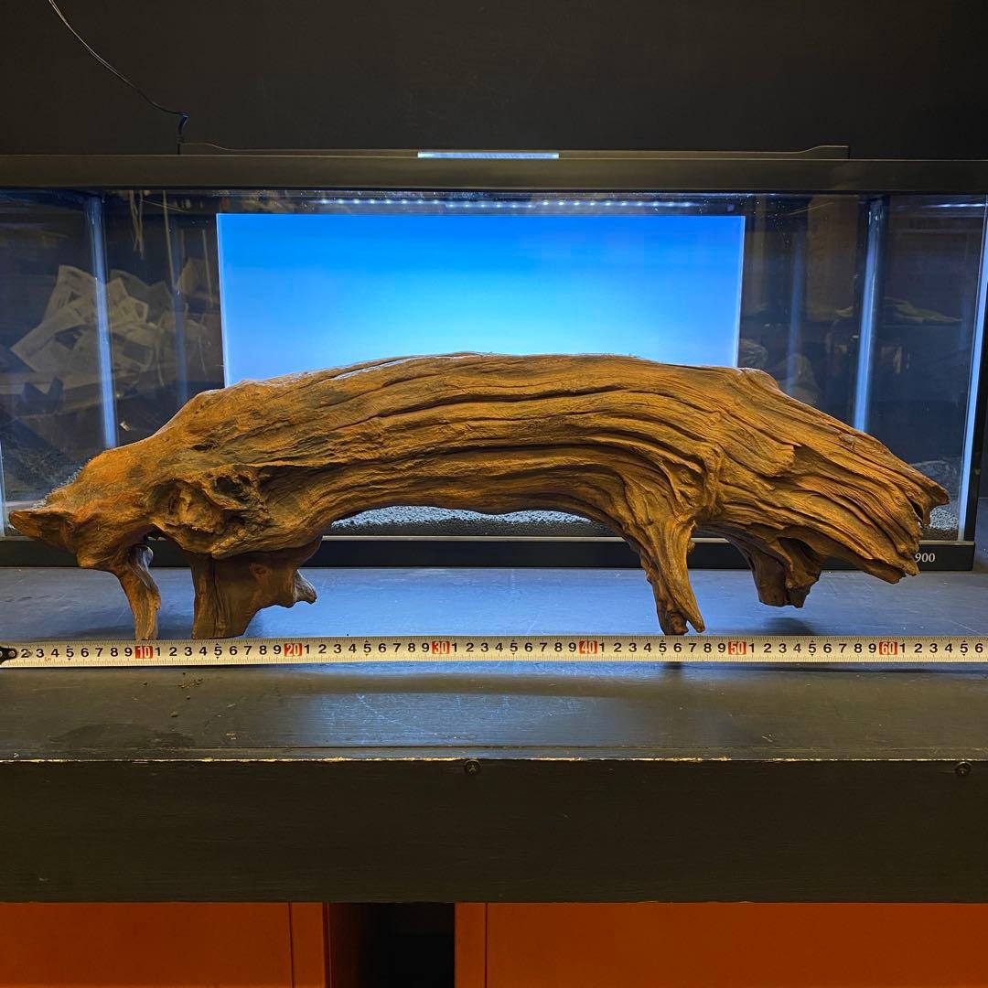MRW-6331 特大自立赤系流木　アーチ流木　1点物　自立流木　90cm水槽用