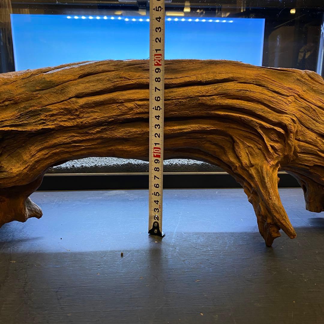 MRW-6331 特大自立赤系流木　アーチ流木　1点物　自立流木　90cm水槽用