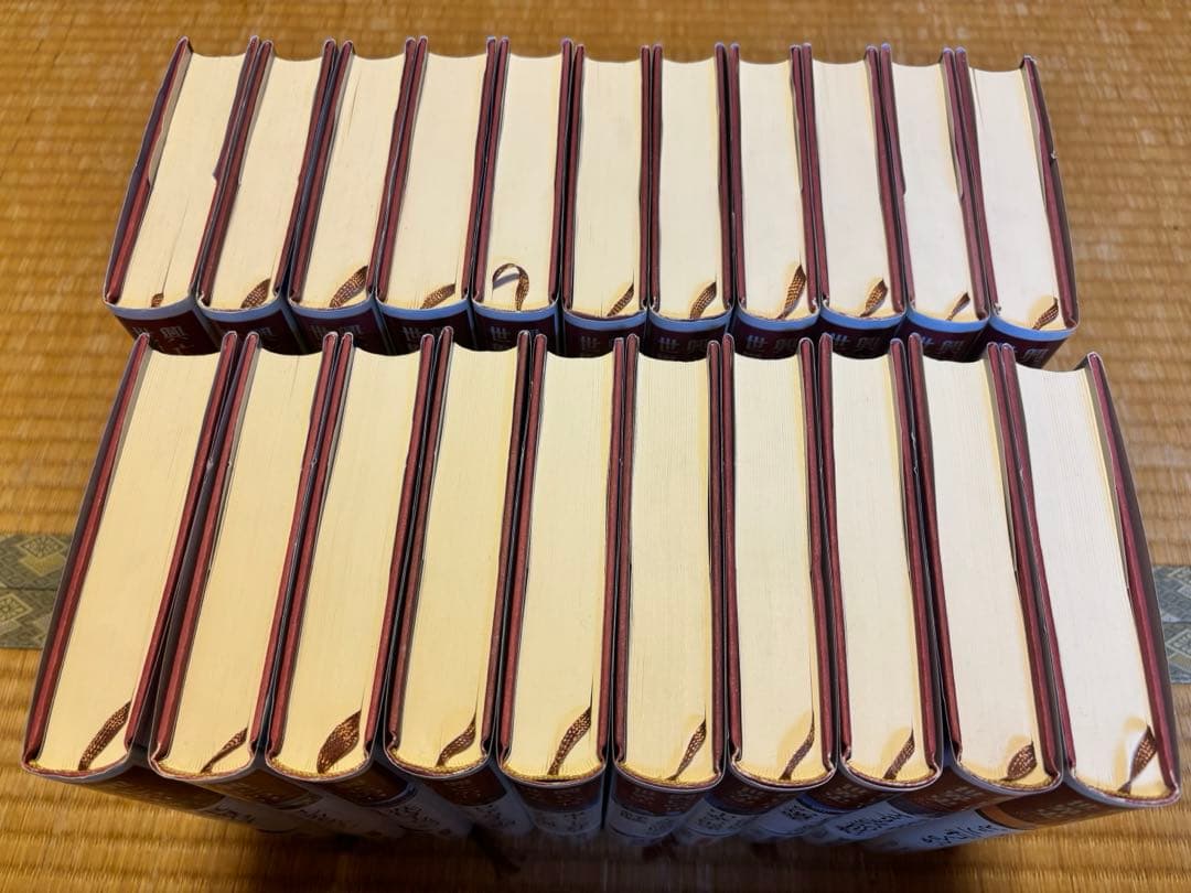 興亡の世界史 全巻 講談社