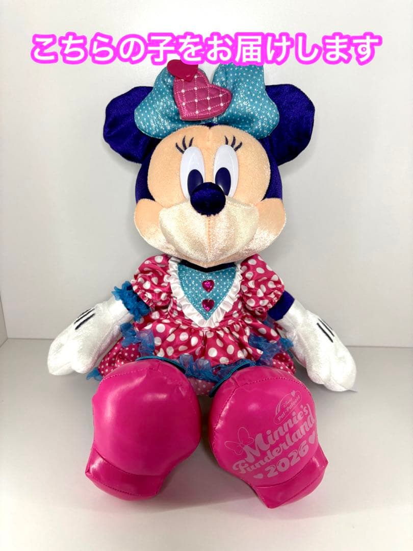 ディズニー ミニーのファンダーランド　ぬいぐるみ 新品タグ付き
