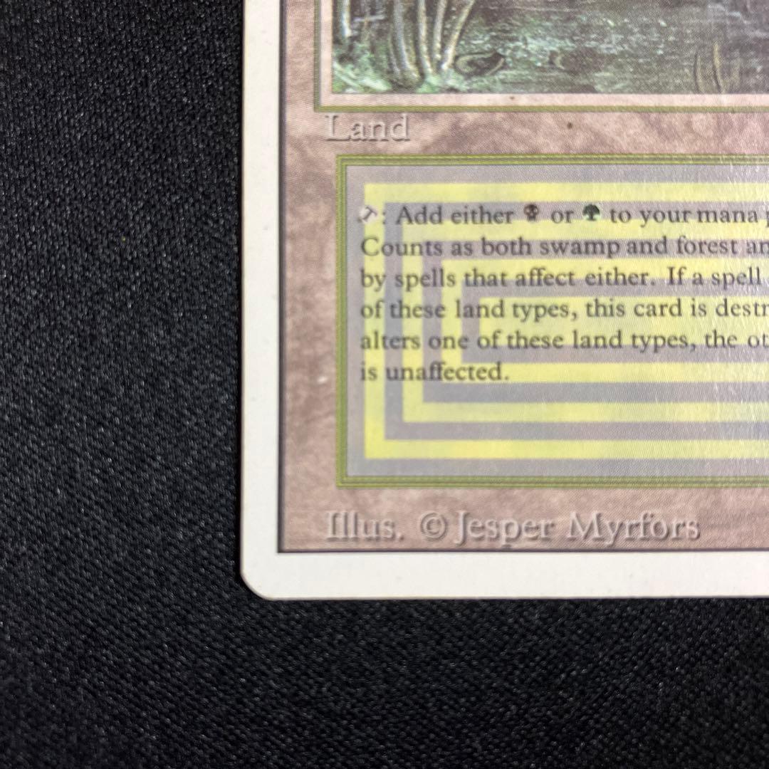 mtg Bayou 【3ED】 リバイズド 英語版 1枚 デュアルランド