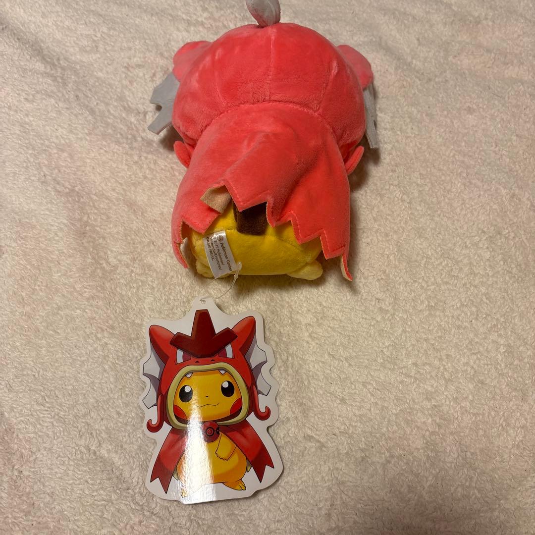 ポケモンセンター　ヒロシマ　赤いギャラドス　ポンチョ　ピカチュウ ぬいぐるみ