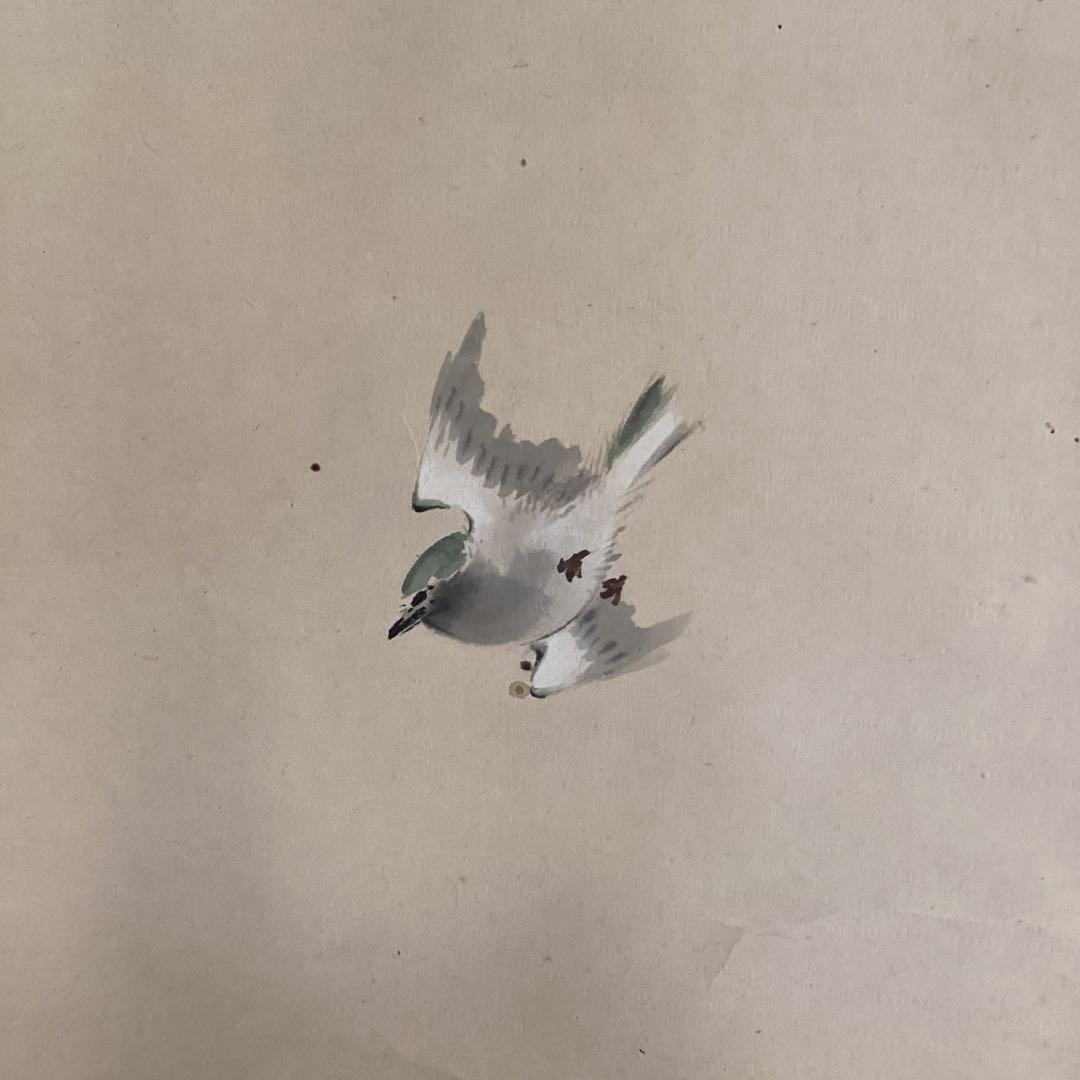 圭舟筆紙本　【芍薬に小禽図】　彩色画　掛け軸一幅　未鑑定品