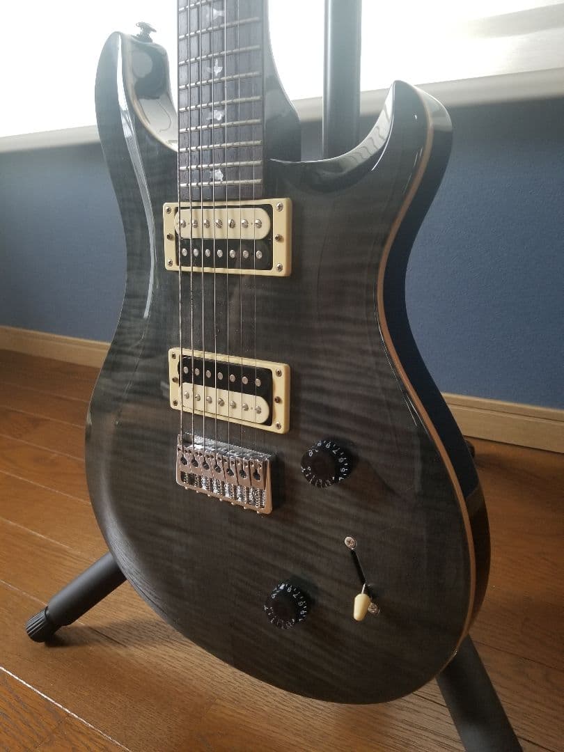 ギター Paul Reed Smith SE SVN Seven 7string