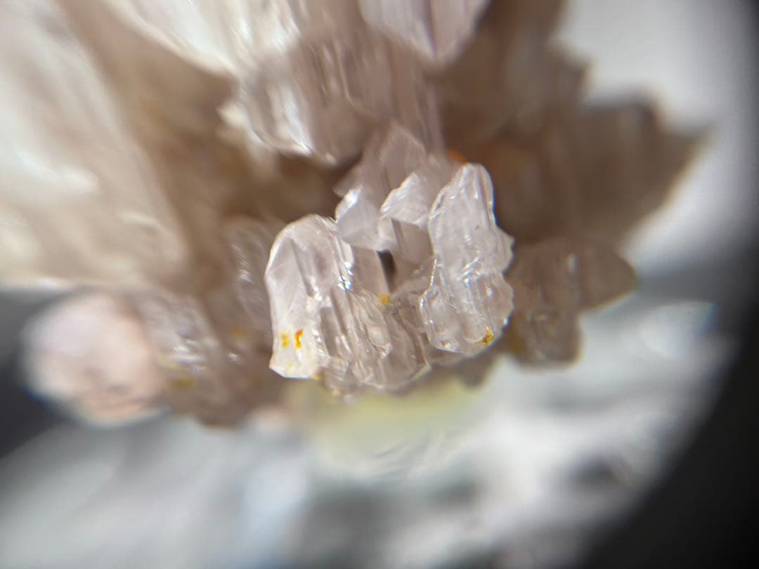 セルサイト ウルフェナイト 鉱物標本