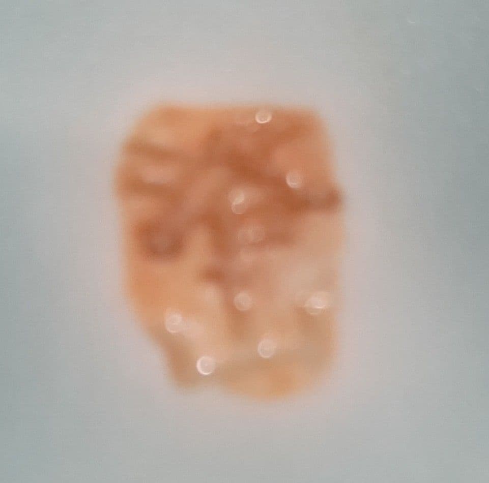 平安洛山作 香炉 三足炉 青瓷香爐 木箱入