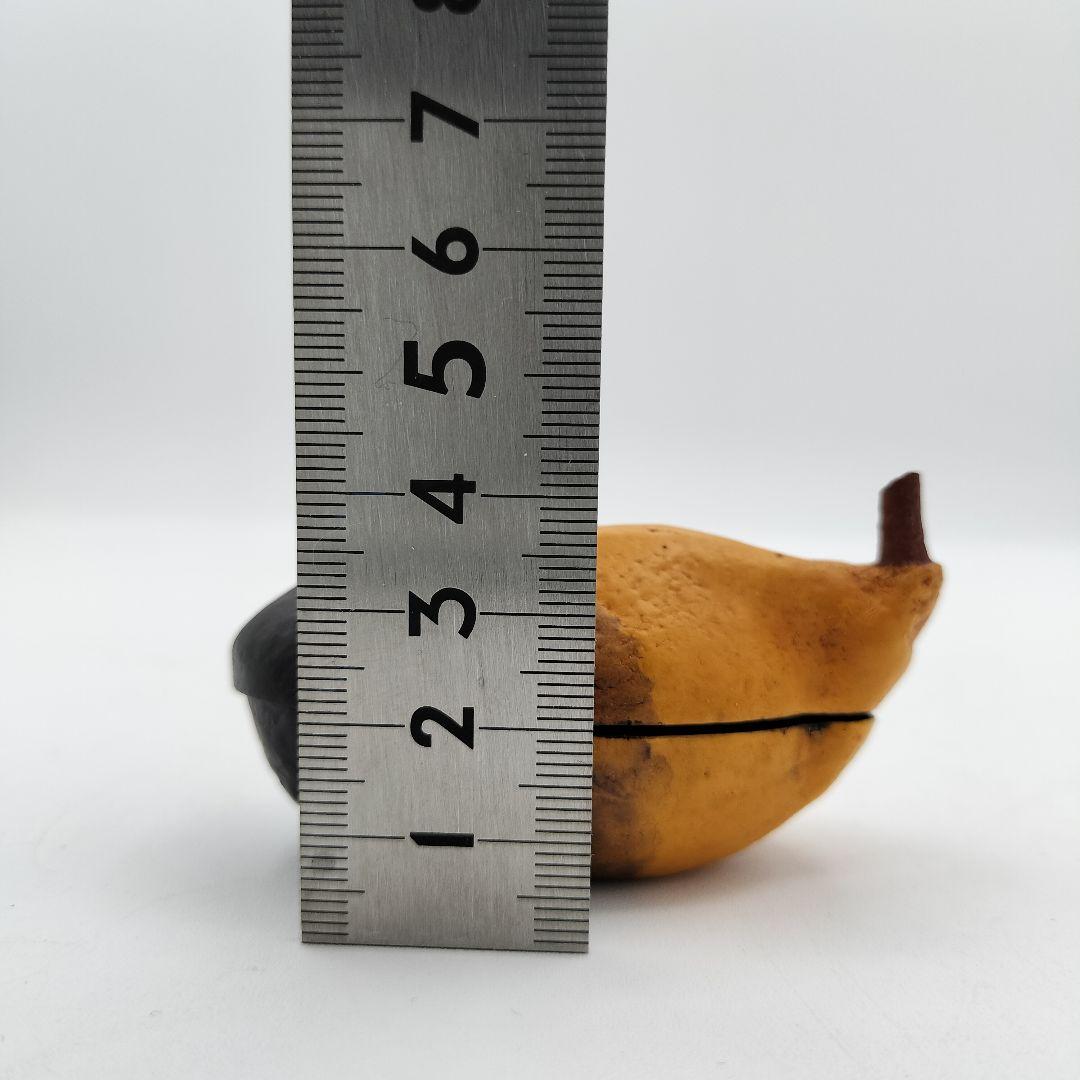 【セール】a49 【未使用】香合　あけび　粒表　茶道具