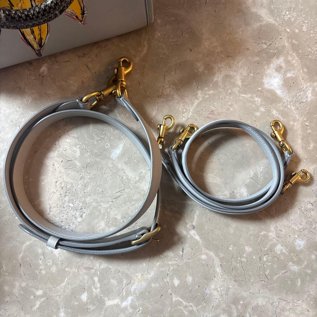 【激レア】Coach ジャン　ミシェル　バスキア ローグバッグ　グレー　バナナ