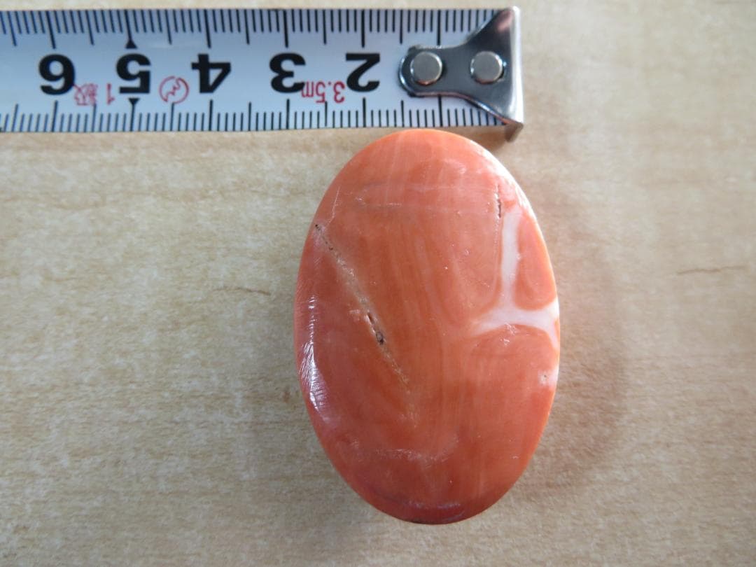 珊瑚サンゴ　帯留め外し石　特大裸石ルース　28.8ｇ　約144ct