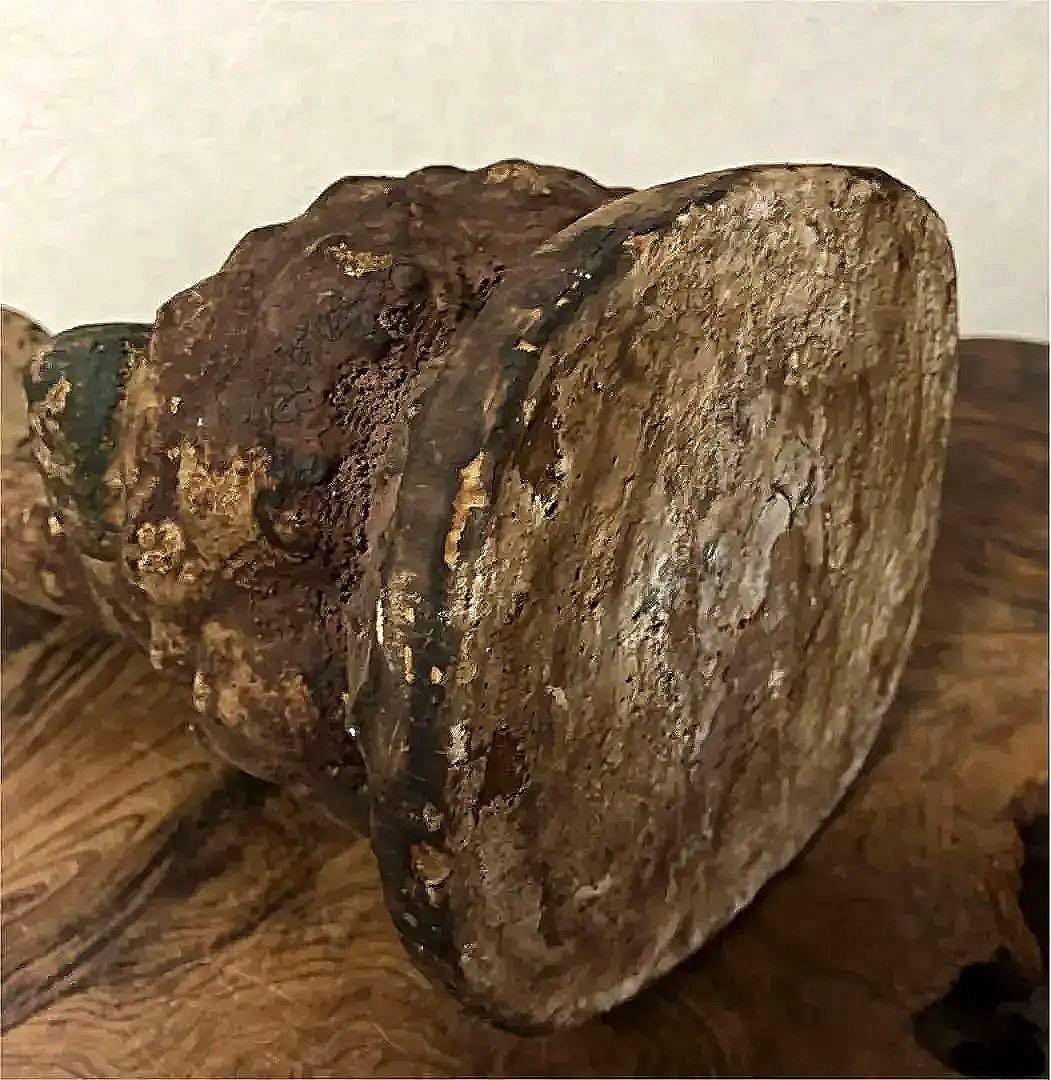 仏教美術 彩色 釈迦如来像 老木 仏像 鎌倉〜江戸期 古玩