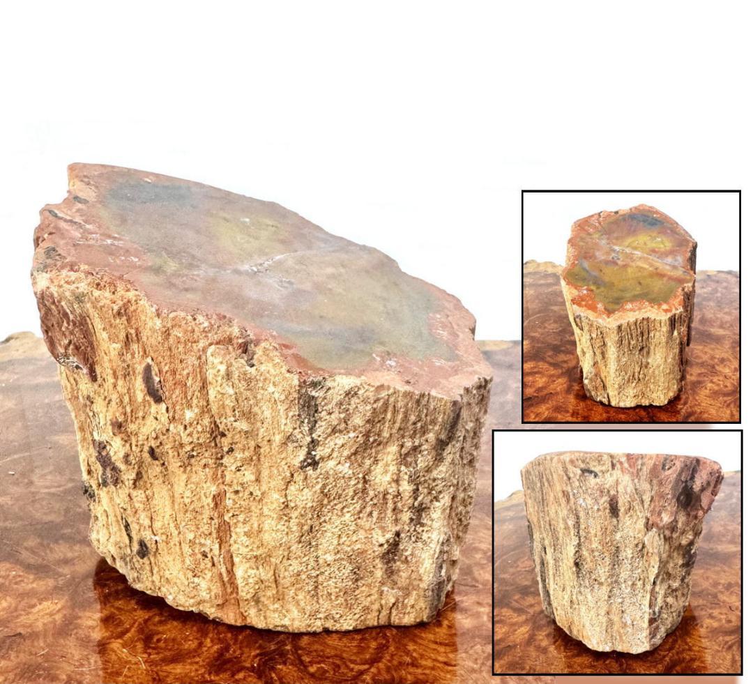 木化石 珍品 瑪瑙化置物 原石 約2kg 唐木 華道 茶道入手困難WWFT082