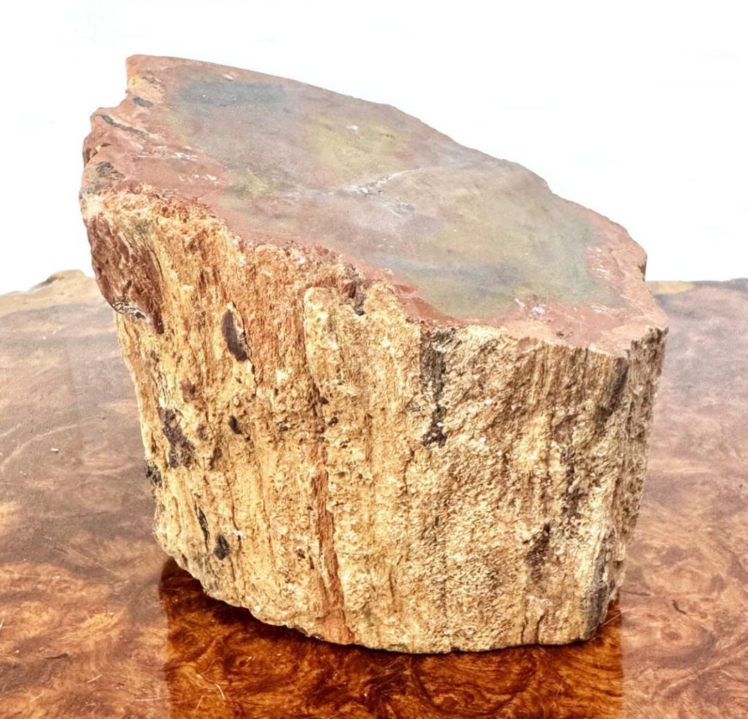 木化石 珍品 瑪瑙化置物 原石 約2kg 唐木 華道 茶道入手困難WWFT082