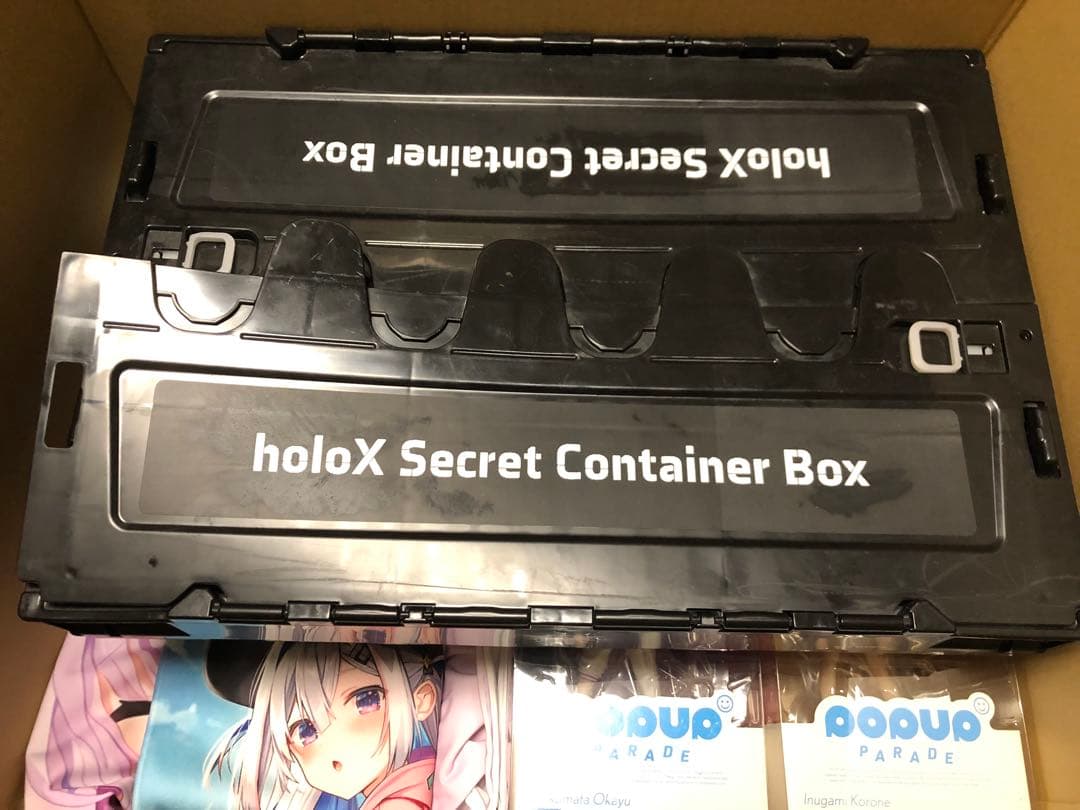 ホロライブまとめ売り　引退品。直筆サイン15枚。複製サイン14枚。フルセット28