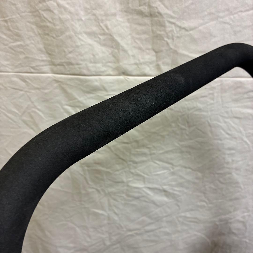 Air Buggy for Dog NEST エアバギー ネストバイク