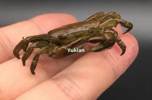 銅細工 蟹 八方来財 書道具 文房具 装飾品 工芸品 美術品 置物