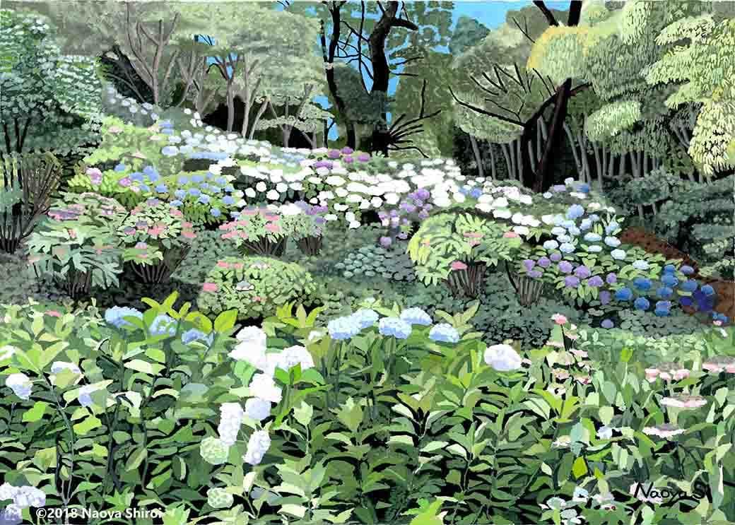 水彩画　ジクレー版画「高良山あじさい園」（久留米市）