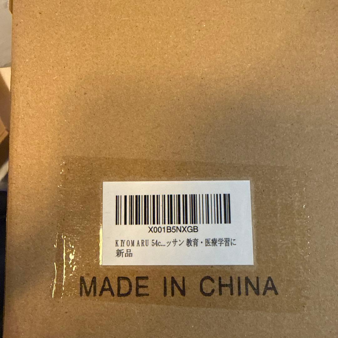 【限定価格】KIYOMARU 54cmのリアルな筋肉人体模型 約1/4サイズ