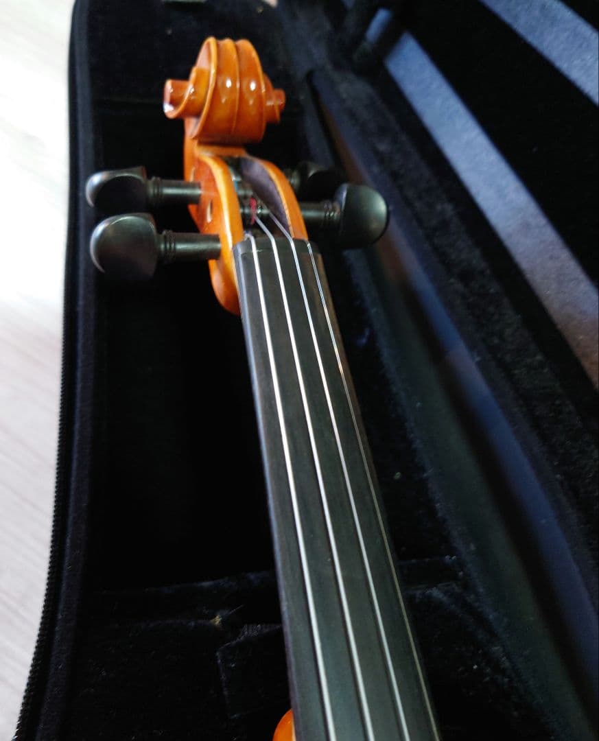Eastman Strings VL80 バイオリン 4/4 ケース、弓、松脂付
