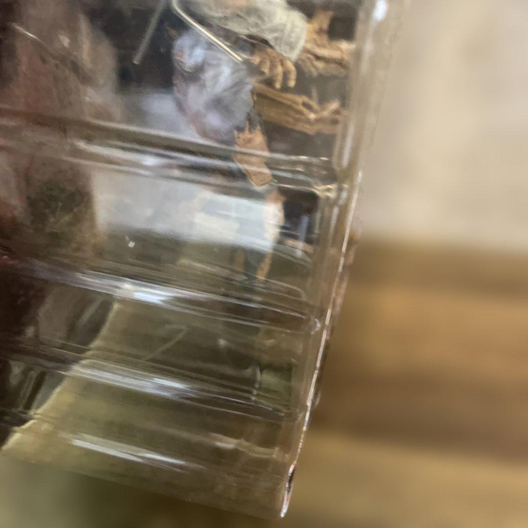 NECAカルトクラッシックBubba Ho-Tep ブバホテップフィギュア