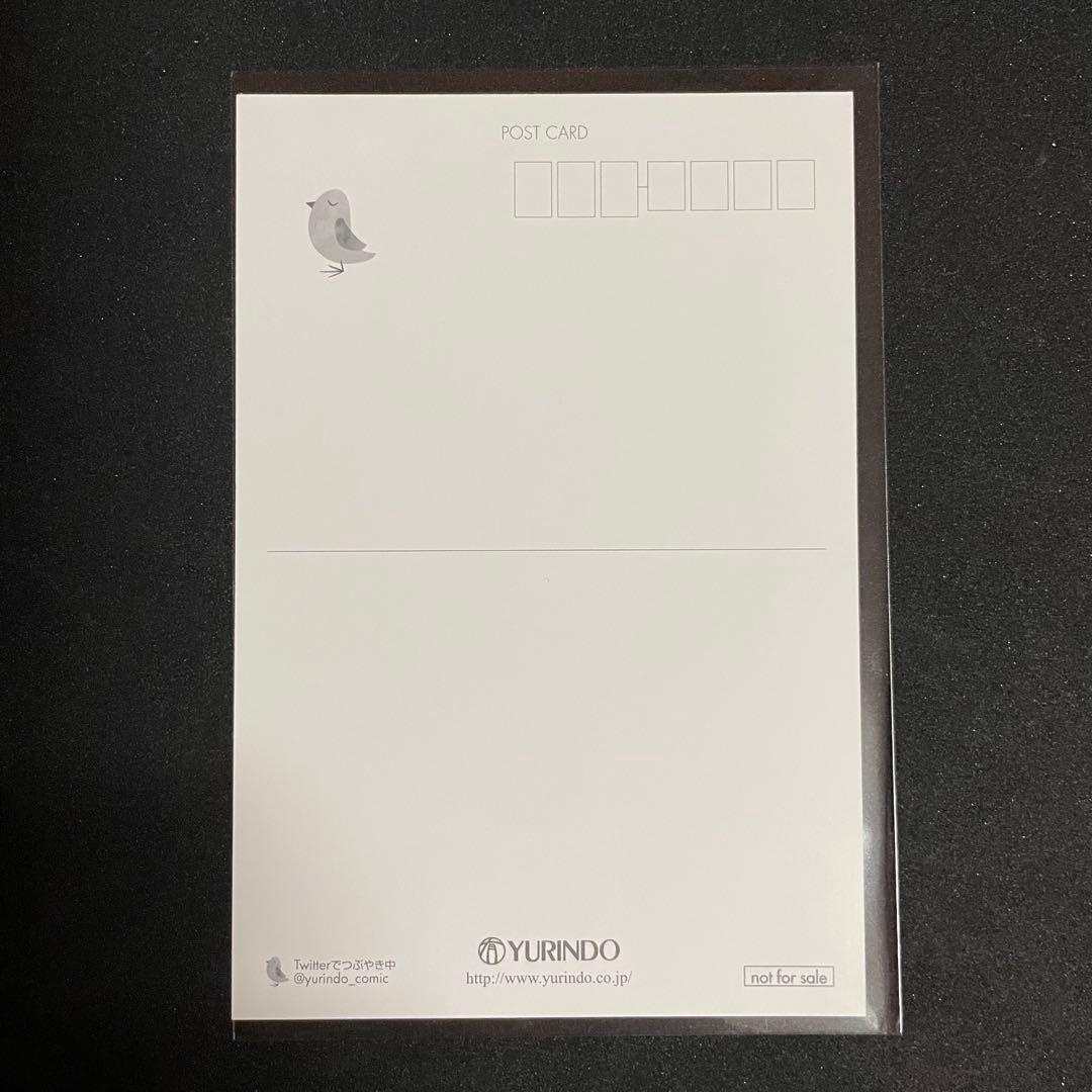 聖闘士星矢 セインティア翔［9巻］有隣堂特典 ポストカード 非売品