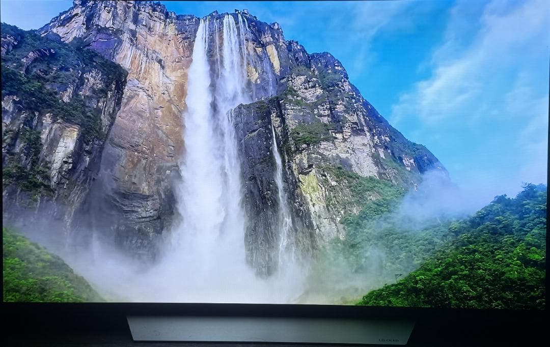 LG有機ELテレビ　５５インチ OLED55C7P-J