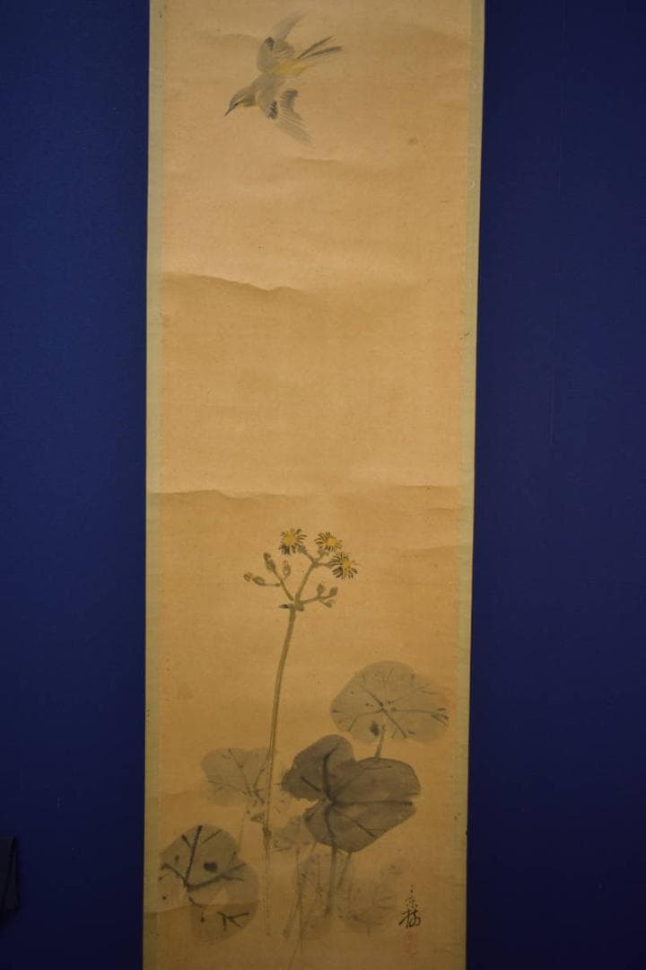 真作/今井景樹/蕗/小禽図/フキ/布袋屋掛軸HI-903