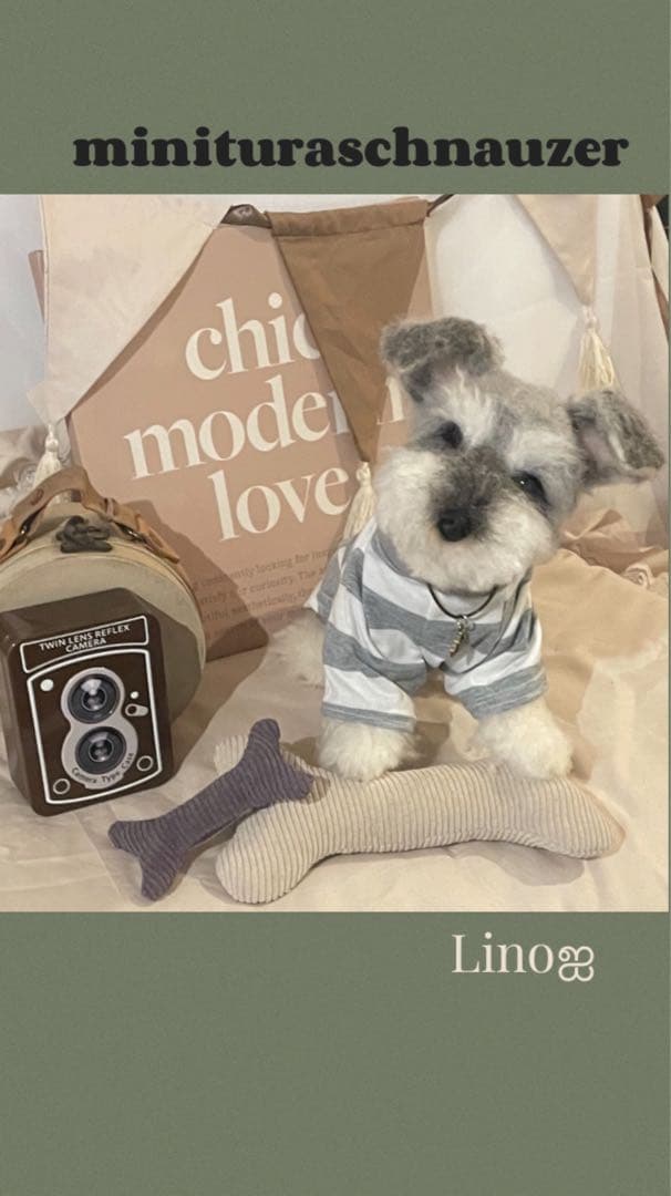 ‪ஐ‬ 羊毛フェルト੯•`໒ ミニチュアシュナウザー