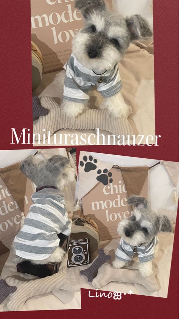 ‪ஐ‬ 羊毛フェルト੯•`໒ ミニチュアシュナウザー