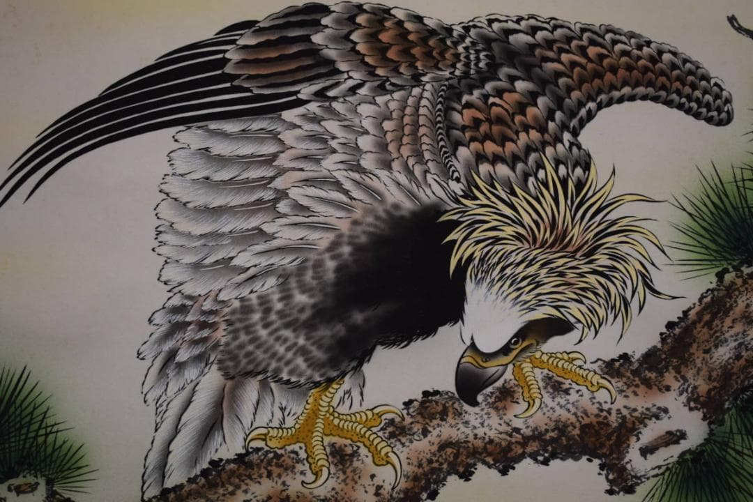 真作/邦夫/松鷹に鯉図/桐共箱付/布袋屋掛軸HG-406