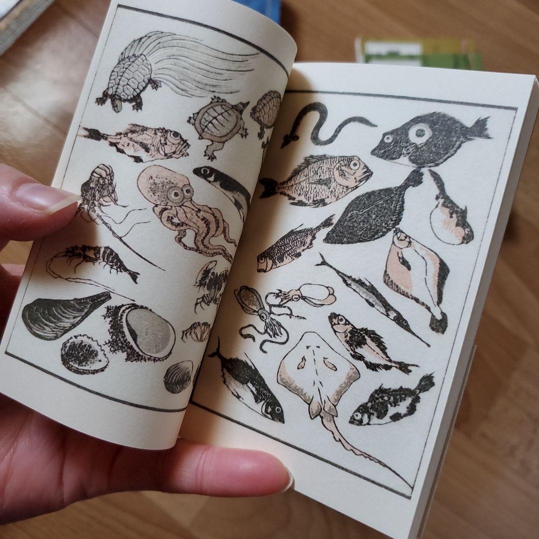 葛飾北斎、北斎漫画、東海道五十三次