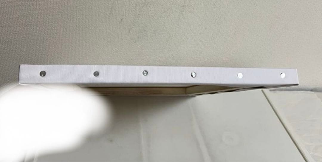 ローゼンメイデン 複製原画ジークレー、 水銀燈 PEACH-PIT 直筆サイン