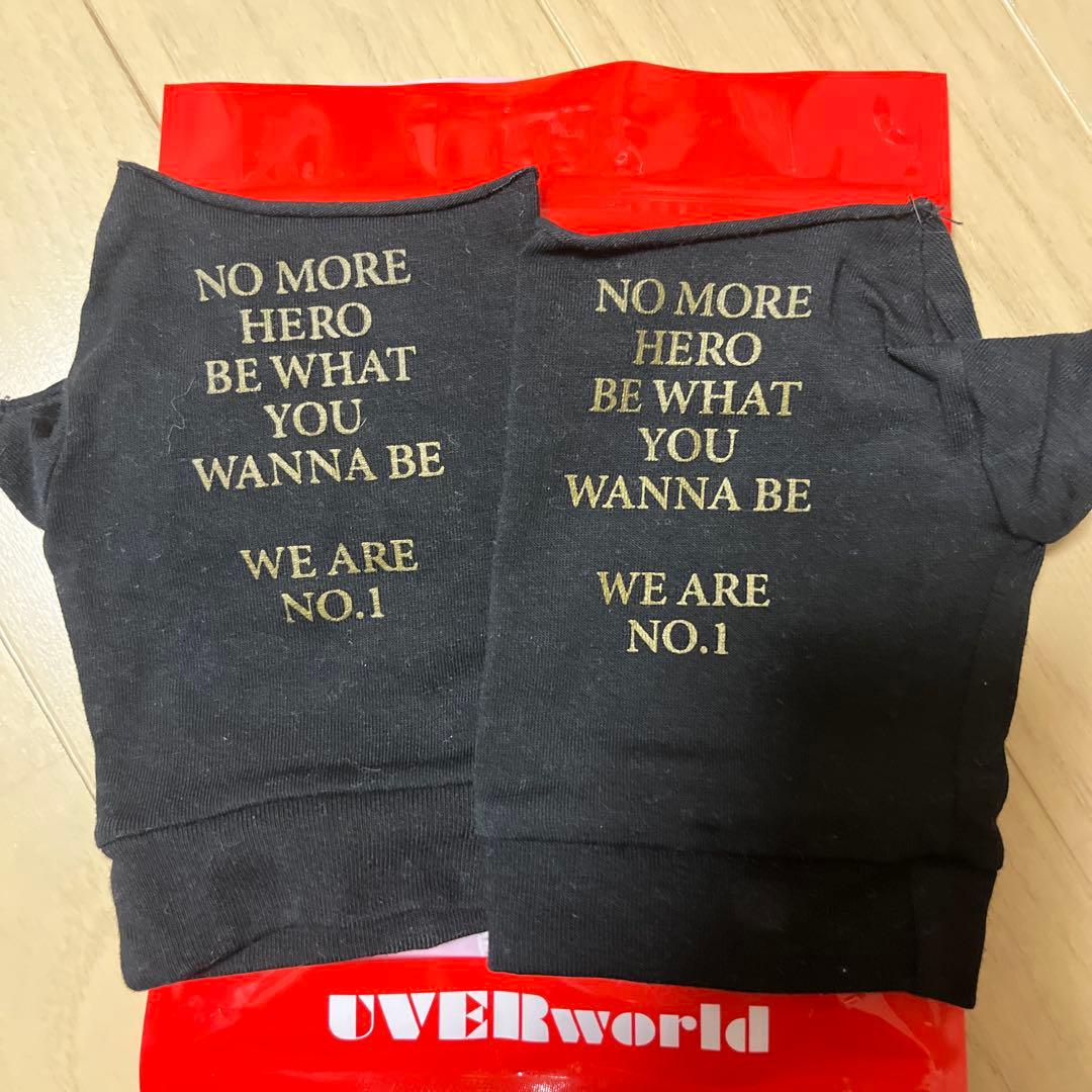 UVERworld 日産スタジアム　グローブ