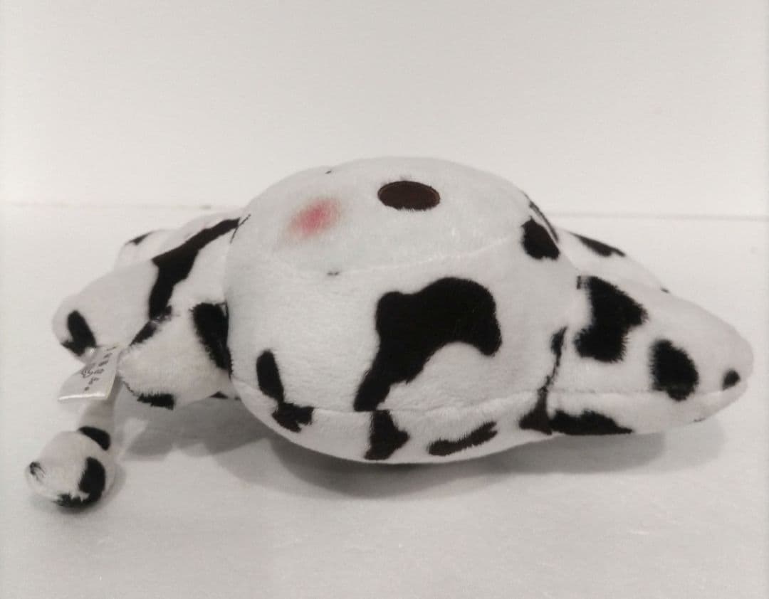 うさるさん 着ぐるみ ぬいぐるみ 牛 うし メディアファクトリー たみやともか