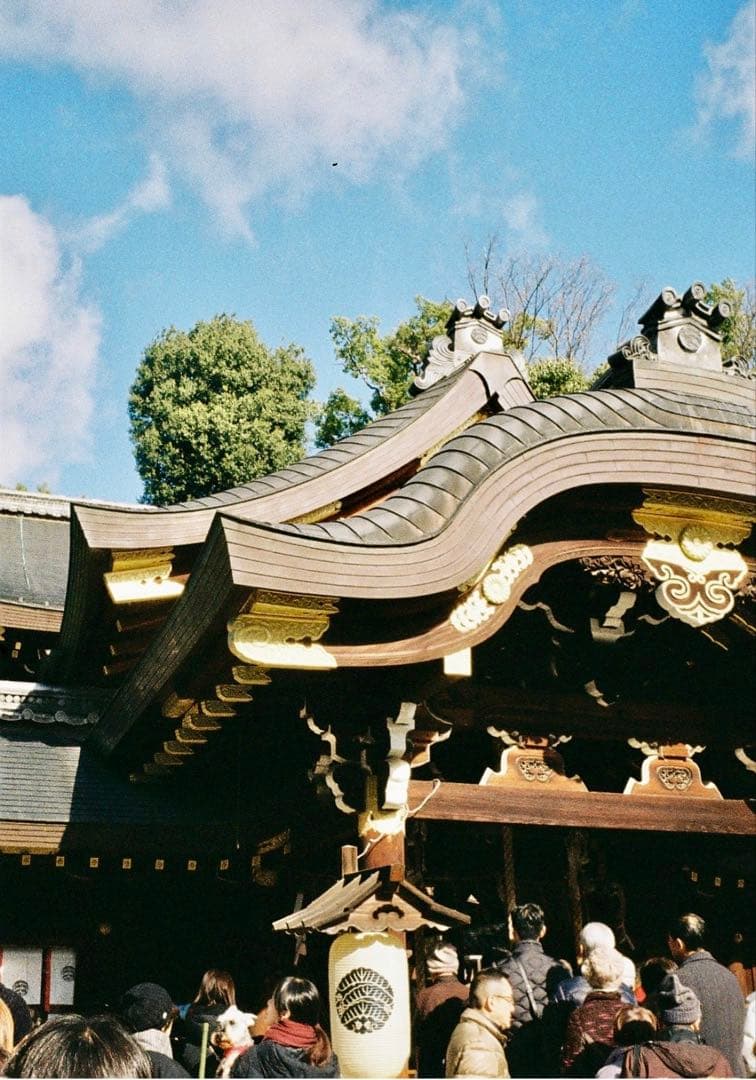 オートハーフ　メンテナンス完了、試写良好