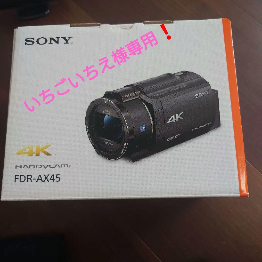 いちごいちえ❗️SONY 4K ハンディカム FDR-AX45