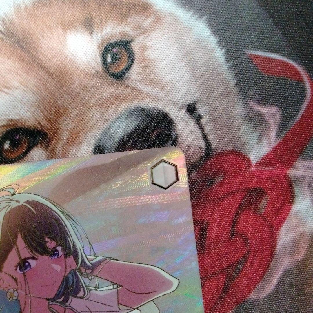 即日発送　ヴァイスシュヴァルツ 黄昏のプレリュード 黒川あかね PR+