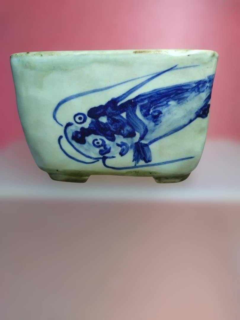 ナマズの絵柄の盆栽鉢