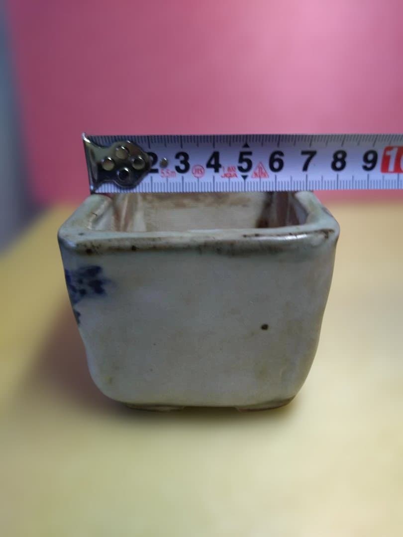 ナマズの絵柄の盆栽鉢