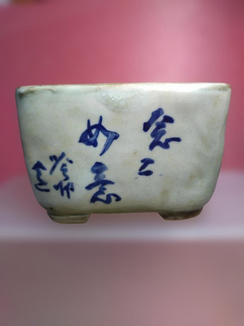 ナマズの絵柄の盆栽鉢