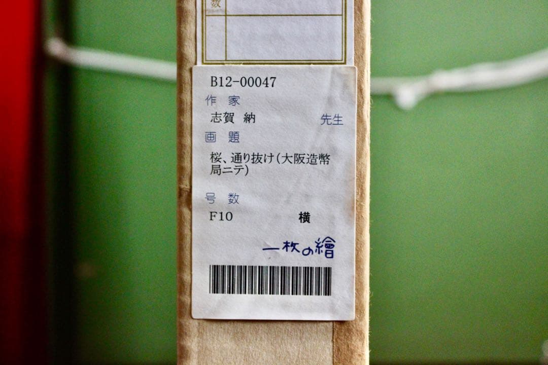 花乙女コレクション【志賀納　桜、通り抜け】購入金額より60％お値引き！！