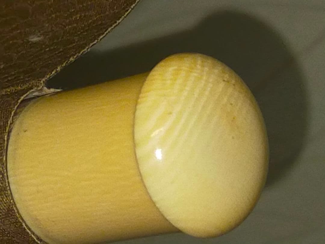 ♥【模写】　掛軸　谷文晁　東海望岳図　識箱付　富士山　掛け軸　骨董品