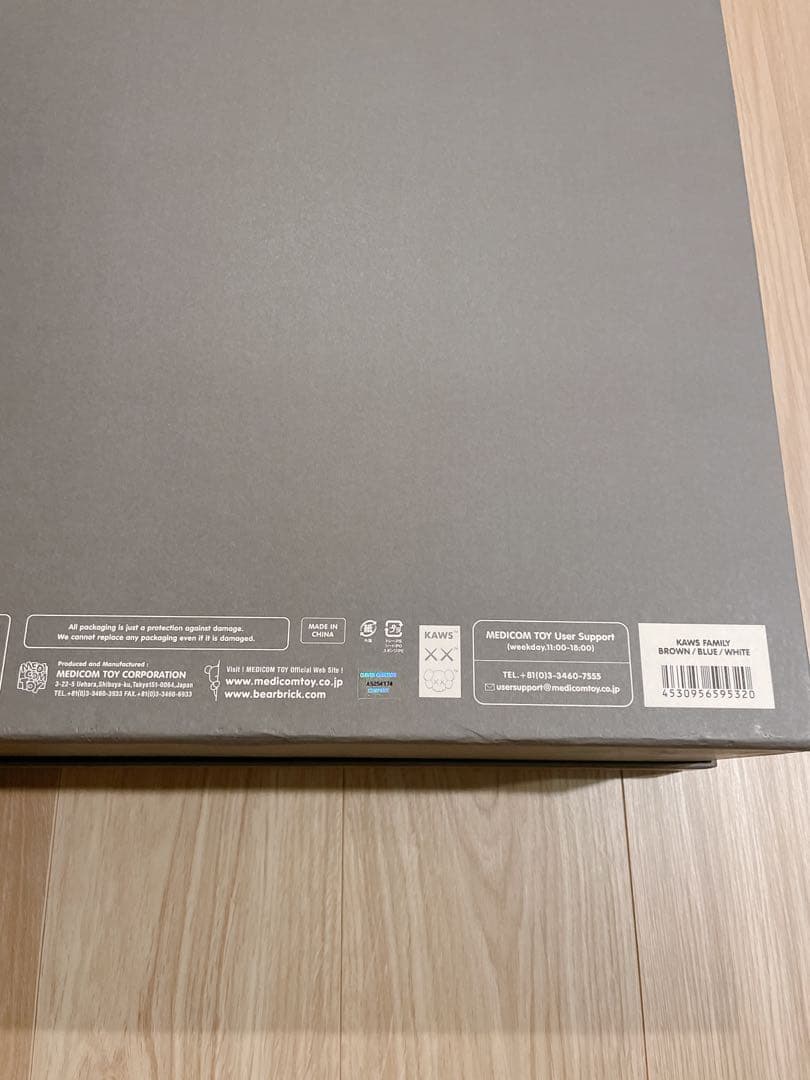 その他 kaws family