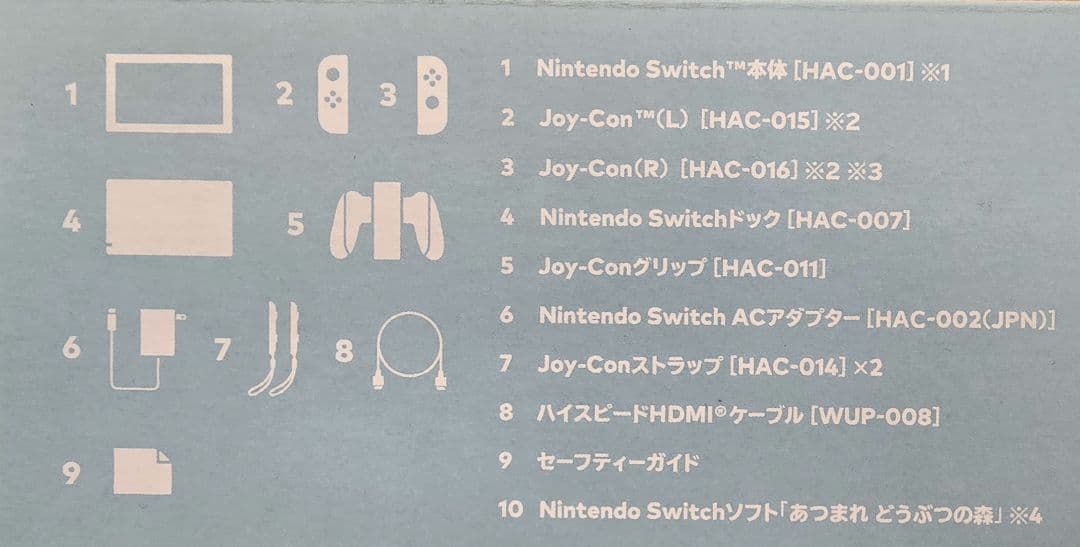 Nintendo Switch どうぶつの森デザイン 本体　動作品