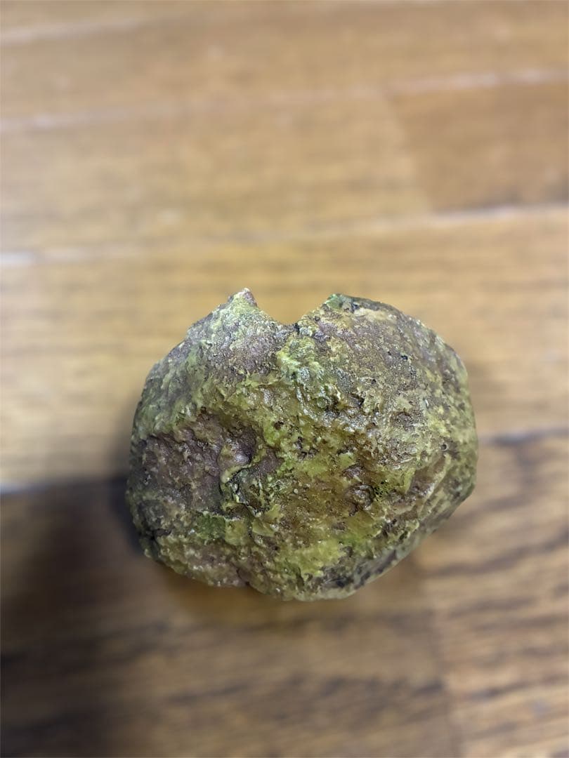 【廃盤品】となりのトトロ　ウォーターガーデン　はっぱのかさ　スタジオジブリ