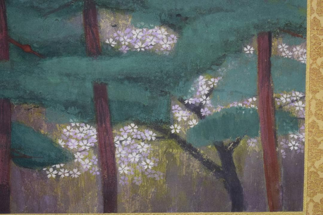 不詳/作者不詳/松山桜花図/桐箱太巻二重箱付/布袋屋掛軸HG-893