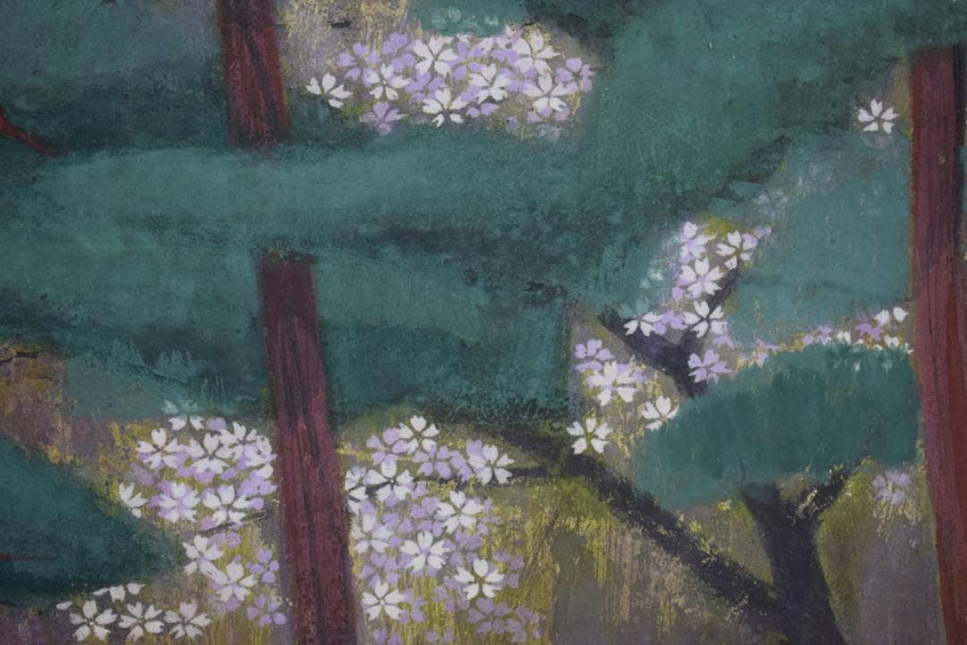 不詳/作者不詳/松山桜花図/桐箱太巻二重箱付/布袋屋掛軸HG-893