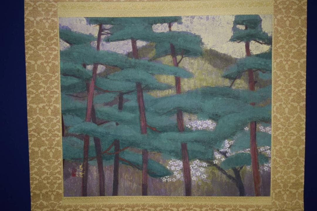 不詳/作者不詳/松山桜花図/桐箱太巻二重箱付/布袋屋掛軸HG-893